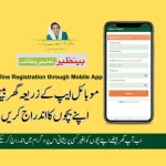 BISP Waseela-e-Taleem App Online Apply 2023