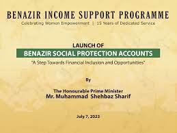 Benazir Social Protection Account BISP Check by CNIC